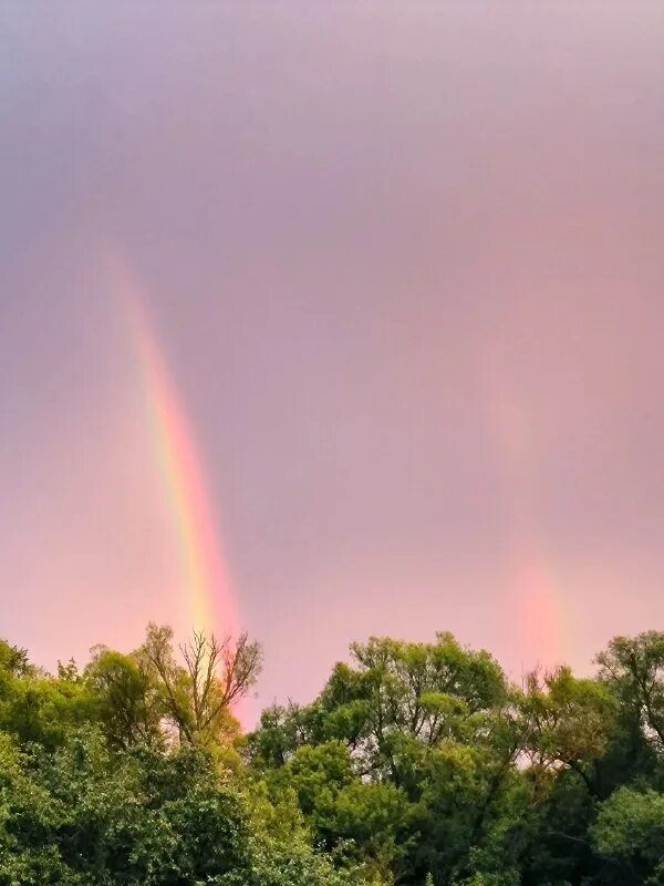 Чемал сейчас новости ливень. Воронеж фото дождливый и облачный. После дождя цитаты. После дождя бывает радуга. Радуга во время дождя.