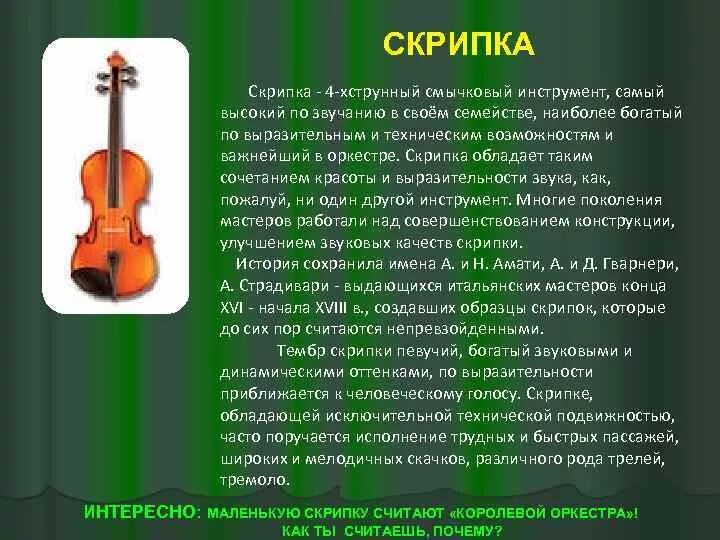 Скрипка коротко. Рассказать о скрипке. Скрипка музыкальный инструмент. Сообщение о скрипке. Инструменты симфонического оркестра скрипка.