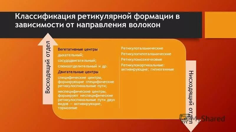 Формация упаковка. Формация упаковка