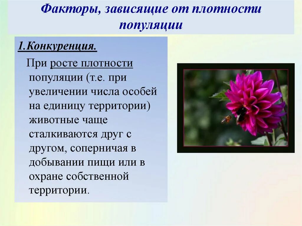 Факторы плотности популяции. Факторы, зависящие от плотности. факторы зависимые от плотности популяции. факторы не зависящие от плотности популяции. факторы плотность популяции.