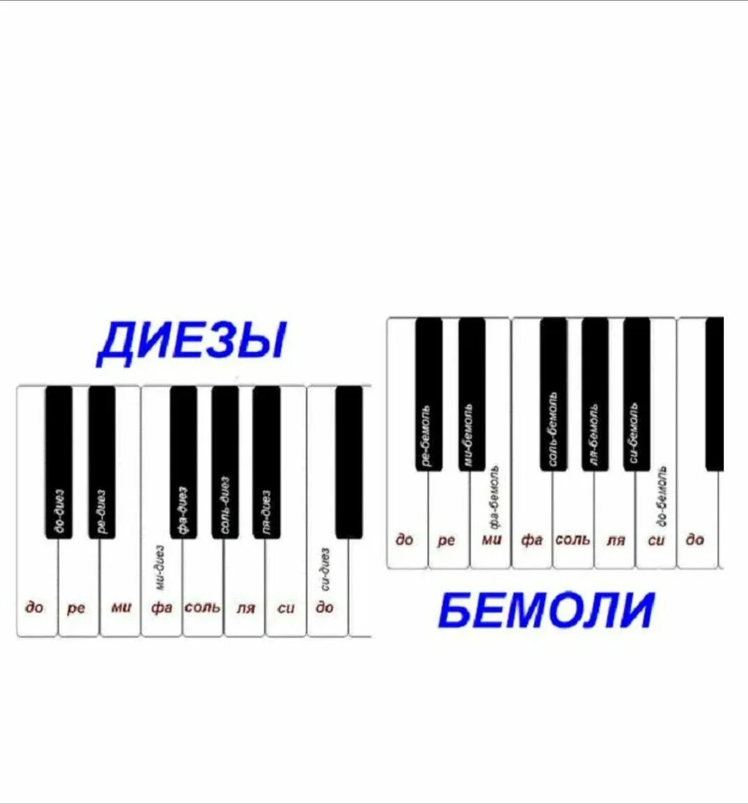 Соль диез на пианино. Нотная грамота для начинающих фортепиано с нуля. Бемоли и диезы на пианино. Нотная грамота для фортепиано для начинающих теория. Читаем ноты для начинающих