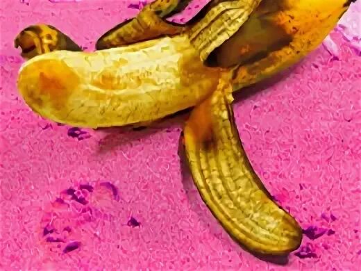 Фотосессия в стиле бали. Асса 30 лет спустя дачники на бали. Асса 30 лет спустя дачники на бали. Фильм асса песни из фильма гребенщикова. Асса 30 лет спустя дачники на бали.