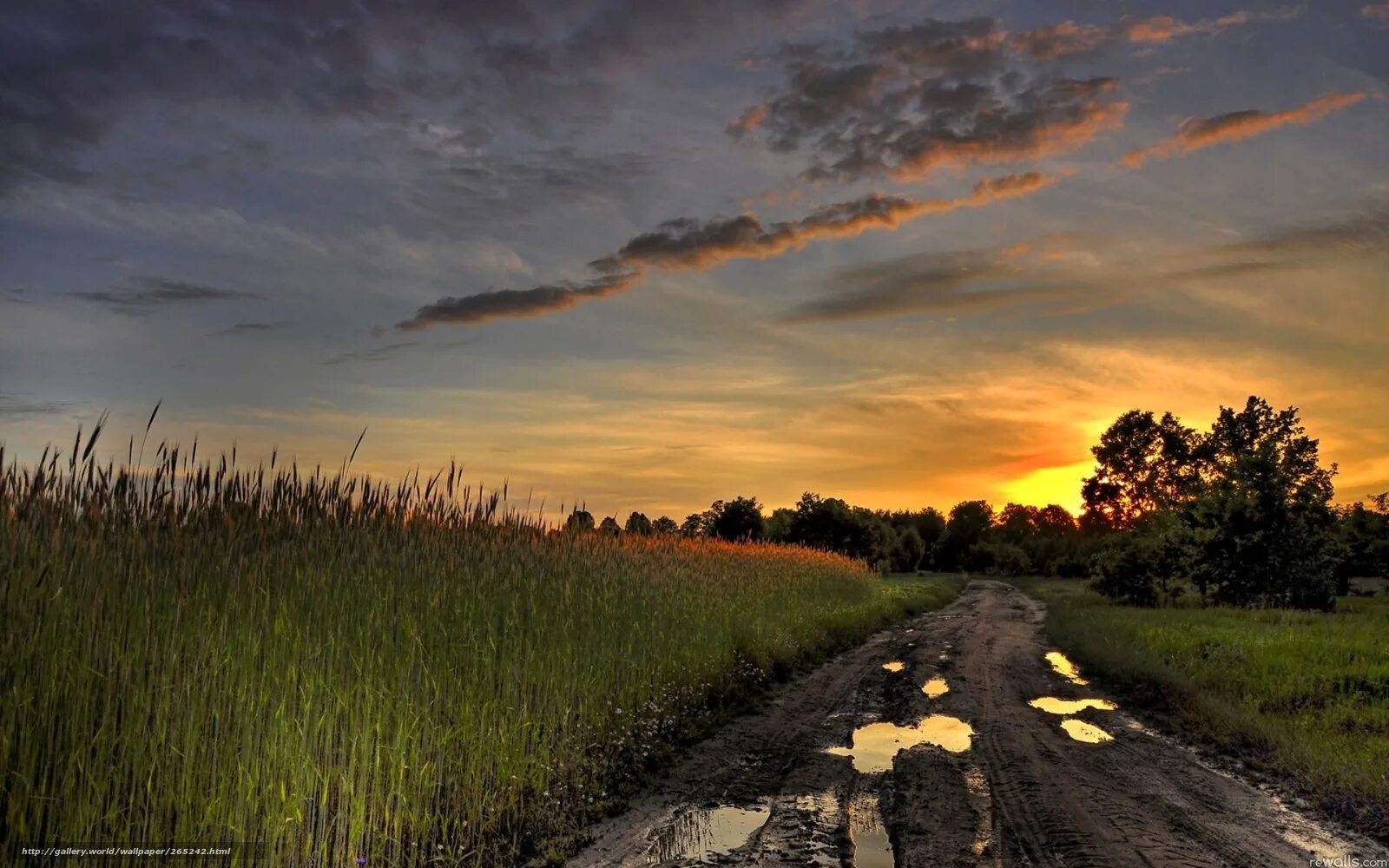 девушка в тумане. стихотворение тихая осень. стихи про осенний туман. человек идет по дороге. сельская дорога.
