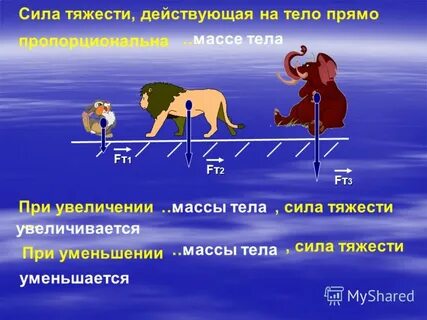 Сила тела примеры