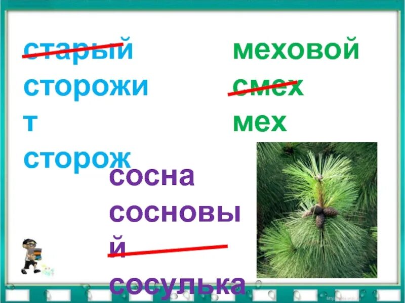 Слово хвойный. Сосна родственные слова. Сторож родственные слова. Сосенка Сосновый сосна корень слова. Сторож родственные слова подобрать.