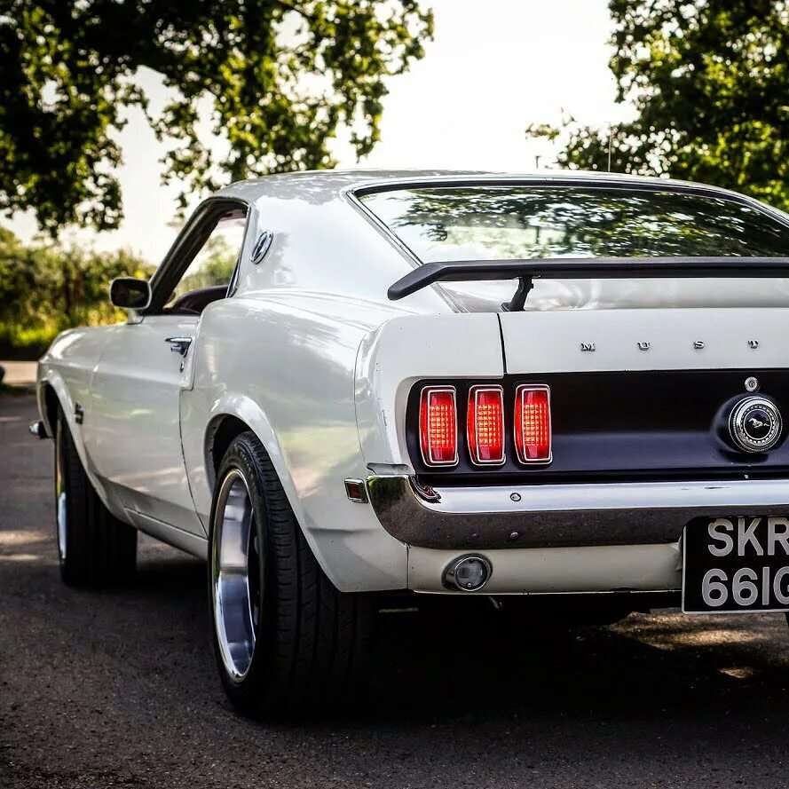 опель мустанг фото. мустанг мозырь. форд мустанг эмблема. мустанг мозырь. Mustang gt 500 premium.