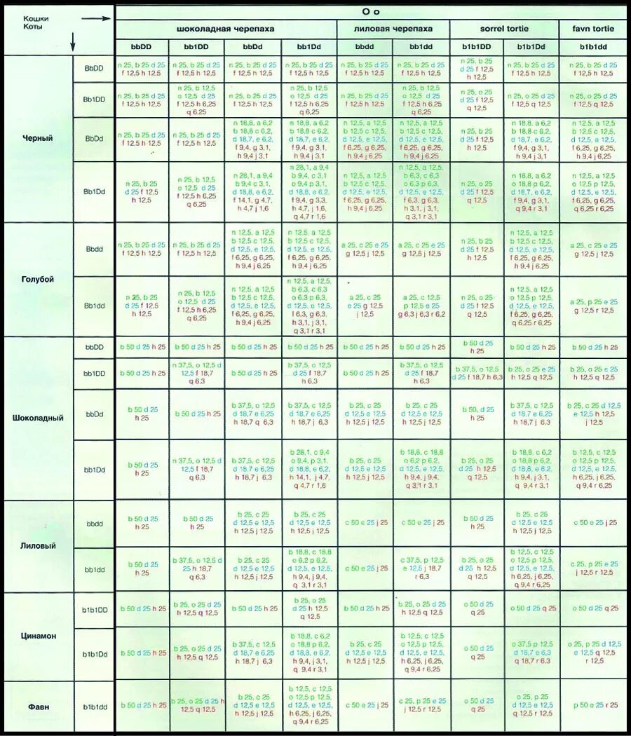 Генетика окрасов кошек. Окрасы ориентальных кошек таблица. Окрас кошек табби схема. Коды окраса шотландских кошек. Коды окрасов кошек.