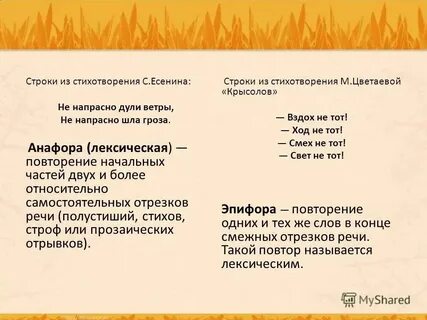 Стихотворение есенина ветер дует с юга