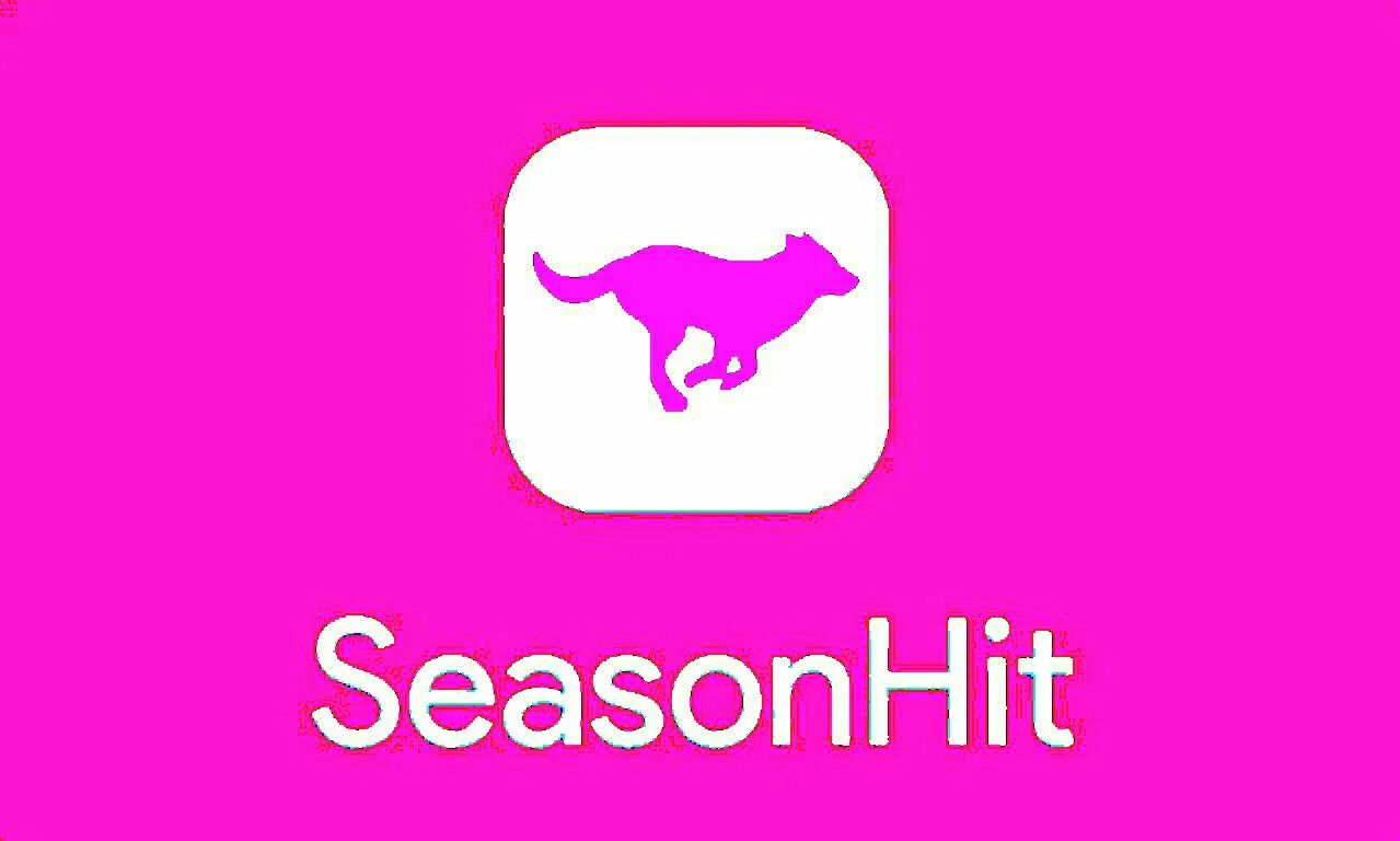 Телеграм через компьютер. Цыфровое т приложение. Me/sirextt. Приложение t me. Приложение t me.