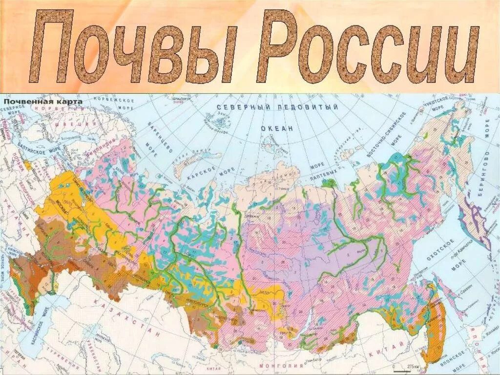 Почвы региона. Почвенная карта России 8 класс география атлас. Карта почв России атлас. Типы почв России карта. Зональные типы почв России карта.