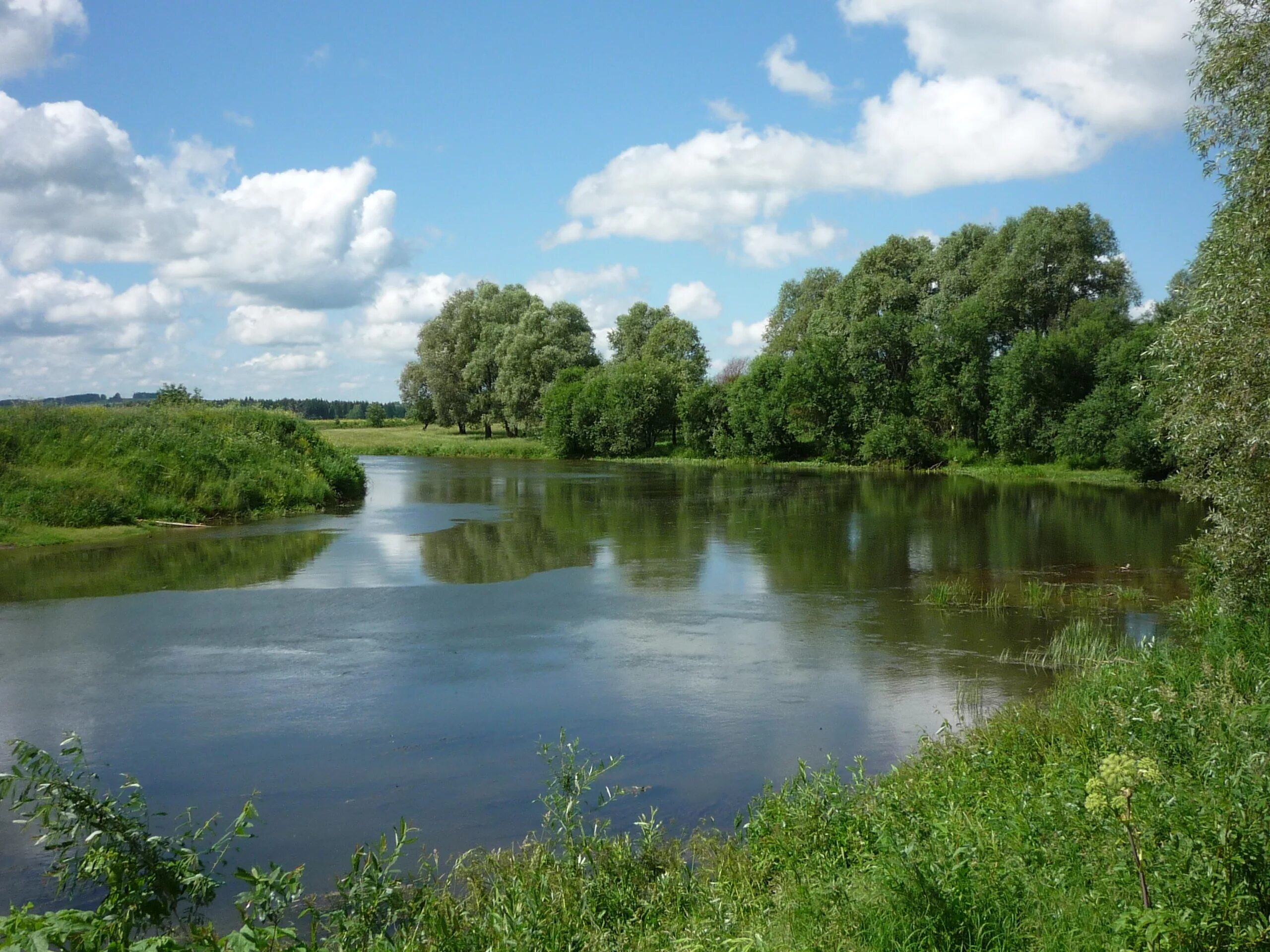 Река буды. Река Сива Удмуртия. Река Сива Воткинск. Сива (приток Камы). Бердышево река Сива.