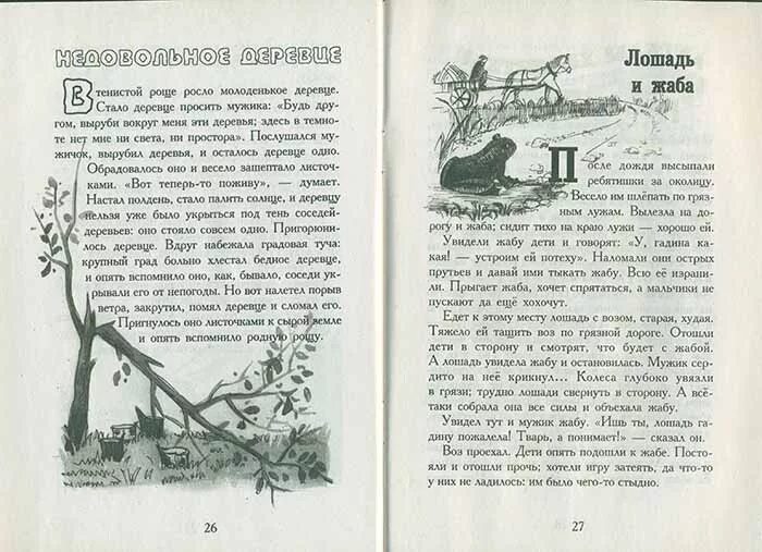 Дзен рассказы читать за околицей. Конь и жаба рассказ. Жаба на лошади. Толстой лошадь и жаба. Рассказ как лошадь жабу пожалела.