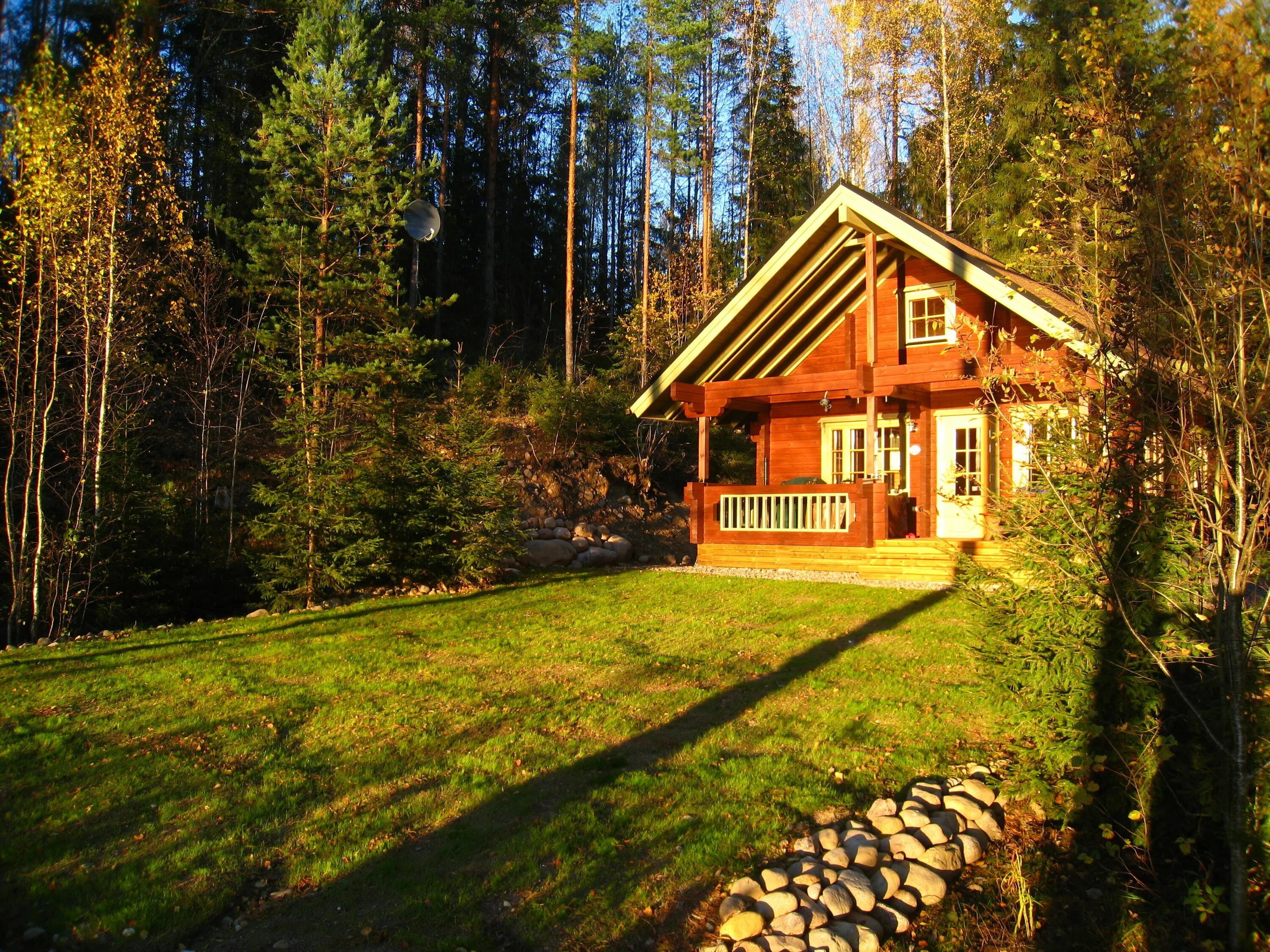 Купить дом лесные озера. Деревянный домик в лесу. Уютный домик в лесу. Дом в лесу. Деревянный дом в лесу.