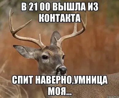 Как пишется наверно или наверно