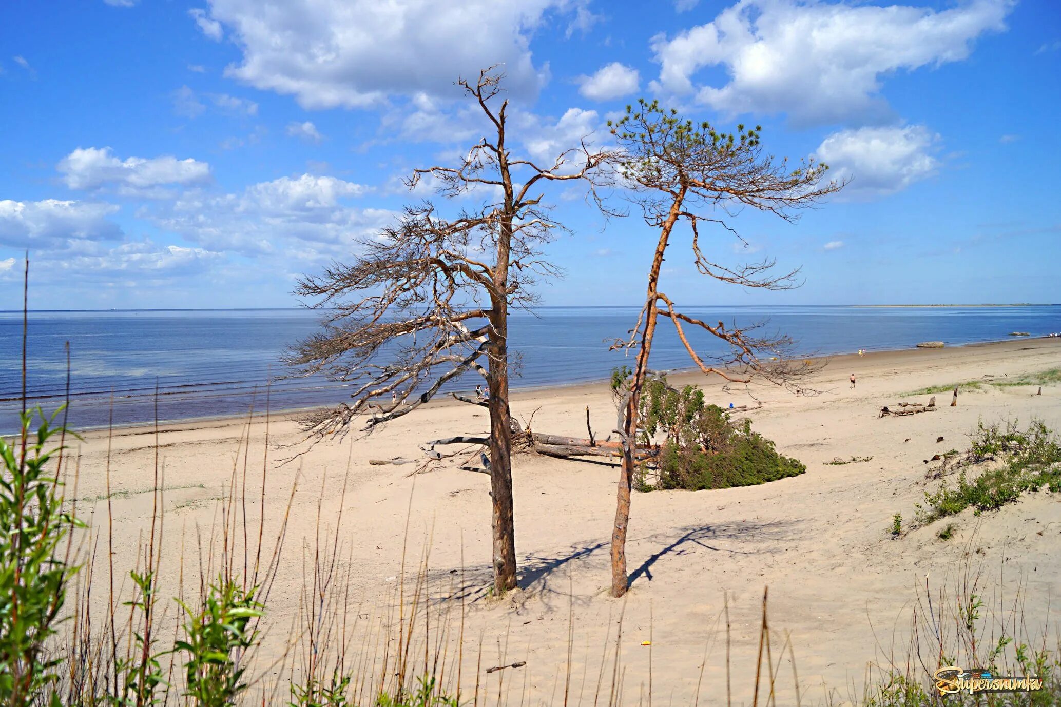 остров ягры северодвинск белое море. белое море архангельск ягры. ягры. ягры. остров ягры северодвинск белое море.