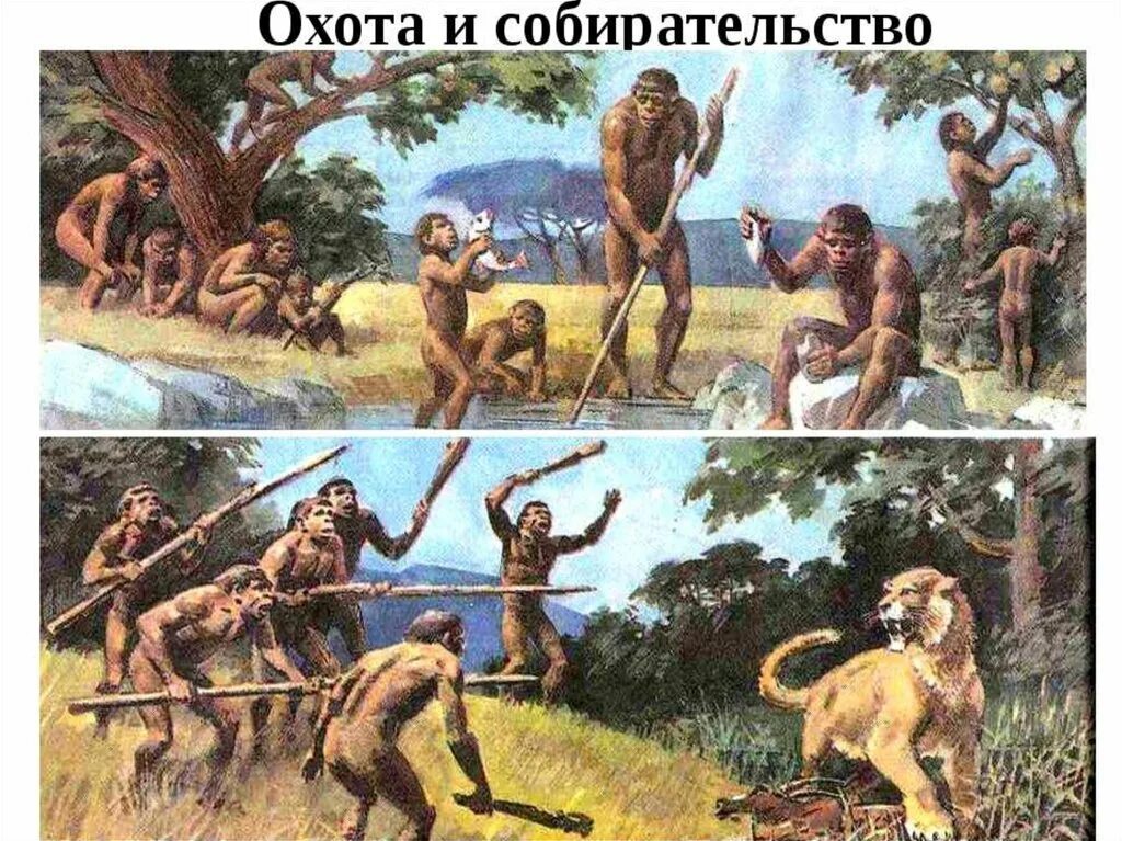 История жизни древнего человека