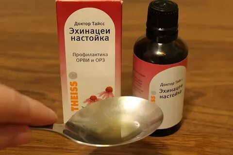 Настойка эхинацеи применение взрослым
