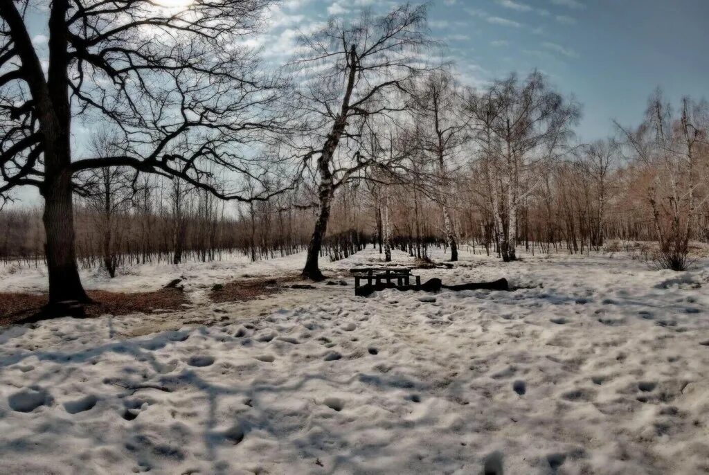 проталины весной. тает снег. таяние снега. снег растаял. тает потемневший снег весной.