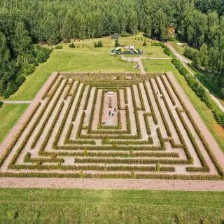 Лосиный остров ландшафт