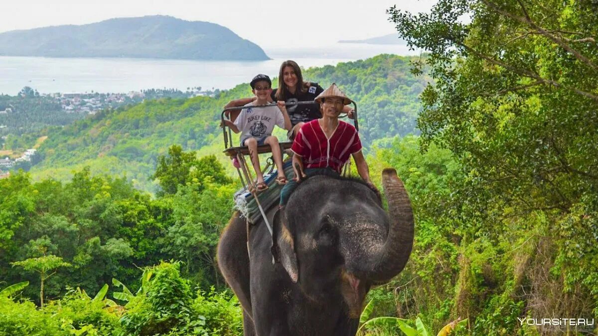 Siam Safari Пхукет. Сафари-парк Намуанг.. Слоны на Пхукете. Сафари тур Пхукет. Elephant пхукет