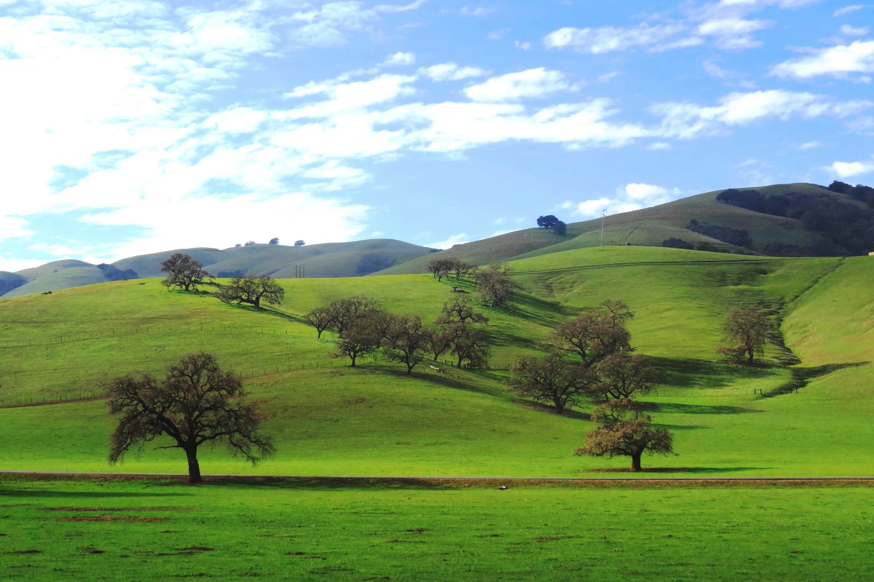 Африка пустыня саванна джунгли. Холмистые моренные ландшафты швеция. Равнинно-холмистая местность оренбург. Большой хребет в австралии. Уругвай холмистая местность.