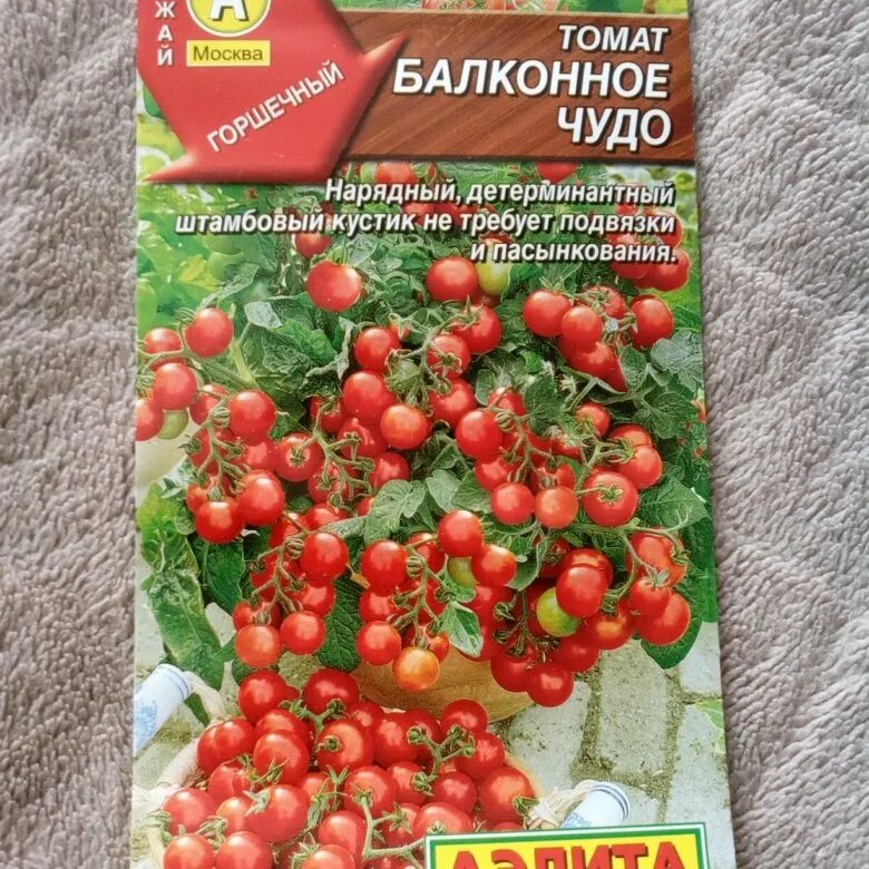 балконное чудо аэлита семена. сорт томата балконное чудо отзывы. помидоры черри балконное чудо. томат балконное чудо аэлита. 30-40 см).