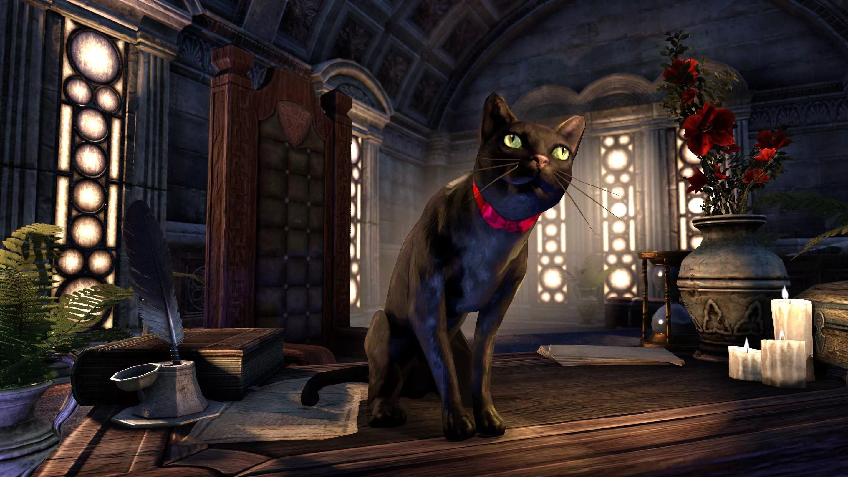 The Elder Scrolls кошки. Котик из компьютерной игры. Черный кот из игры. Игра черный кот. Черная кошка играть