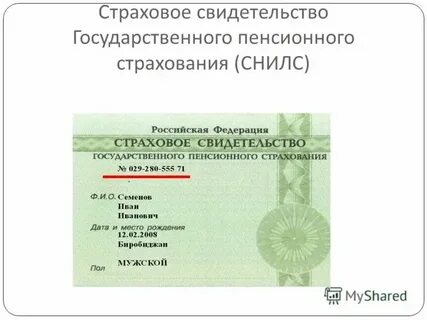 Как узнать номер снилс по свидетельству
