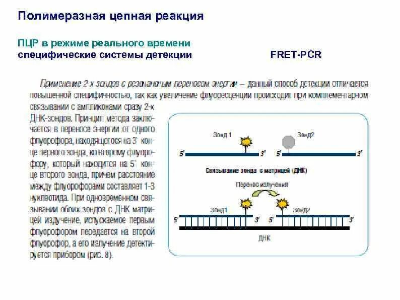 Метод полимеразной цепной реакции в реальном времени. Метод детекции результата пцр. пцр с детекцией в режиме реального времени. пцр биомолекула. пцр длинных фрагментов схема.