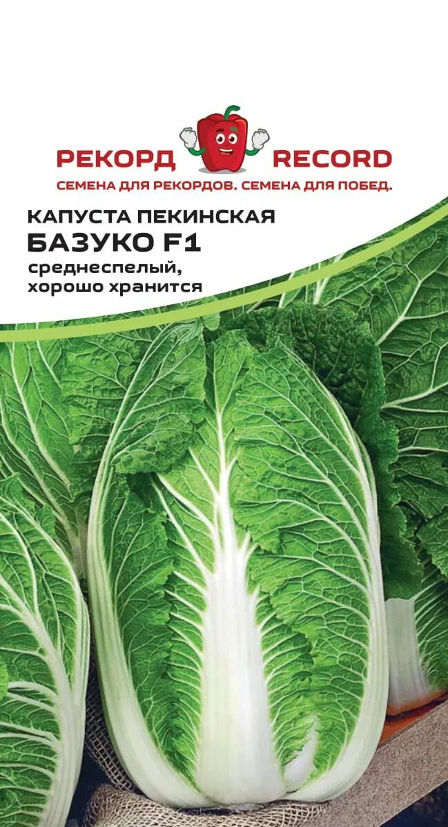 Пекинская любаша. Капуста пекинская любаша уральский дачник. капуста пекинская любаша 0,5г. капуста пекинская любаша 0,5г поиск. пекинская капуста с красными листьями.
