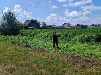 Погода денисово исетский тюменской