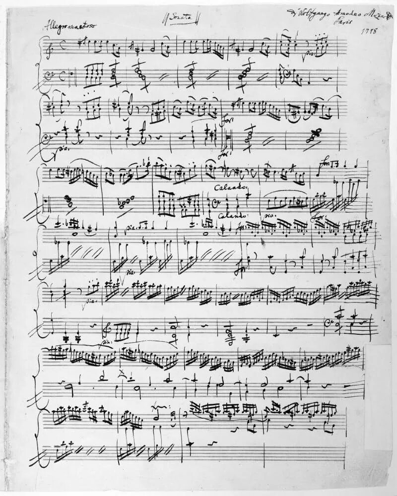 Ротман Моцарт картины. Motsart Sonata pdf Notlar.