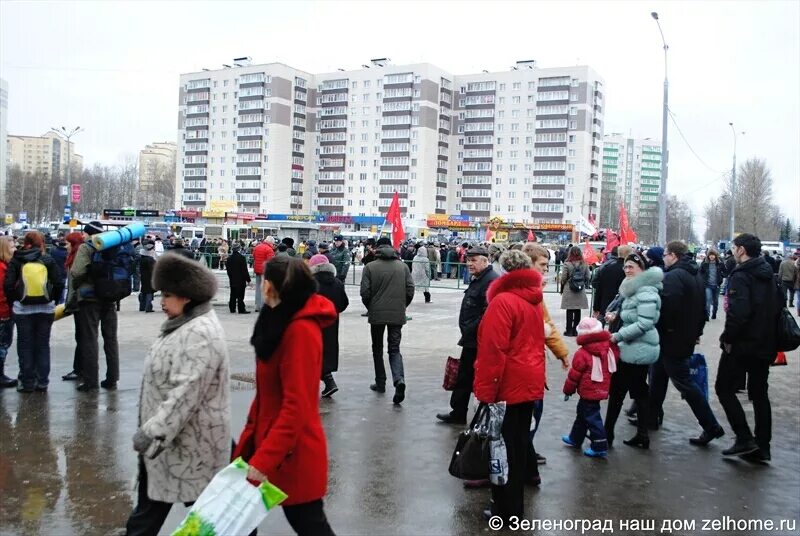 Зеленоград город спутник. Главный сайт зеленограда. Главный сайт зеленограда. Город зеленоград. Зеленоград солнечная аллея.