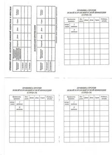 Сертификат о профилактических прививках А6 - купить в СПб по низкой цене Вагончи