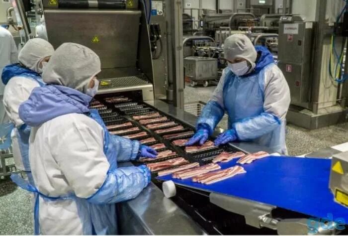 Авито вакансии. Авито работа в шуе вакансии. Вакансии кунгур. Авито работа в шуе вакансии. Домашний дворик логотип.