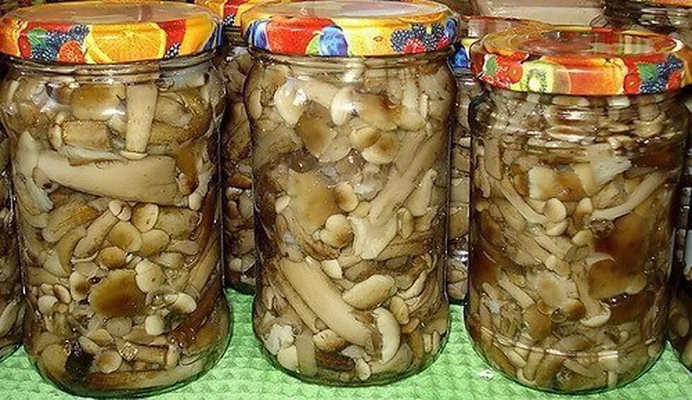 маринованные грибы обабки. маринованные грибы на зиму. маринованные грибы. подберёзовик гриб маринование. д.
