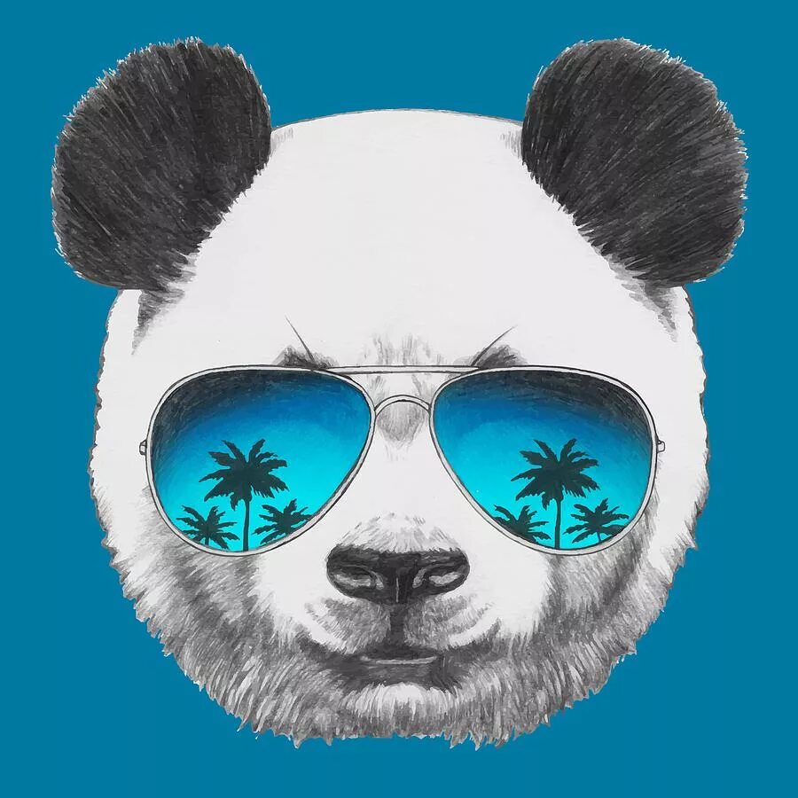 Крутая Панда в очках. Панда аватар. Панда в очках рисунок.