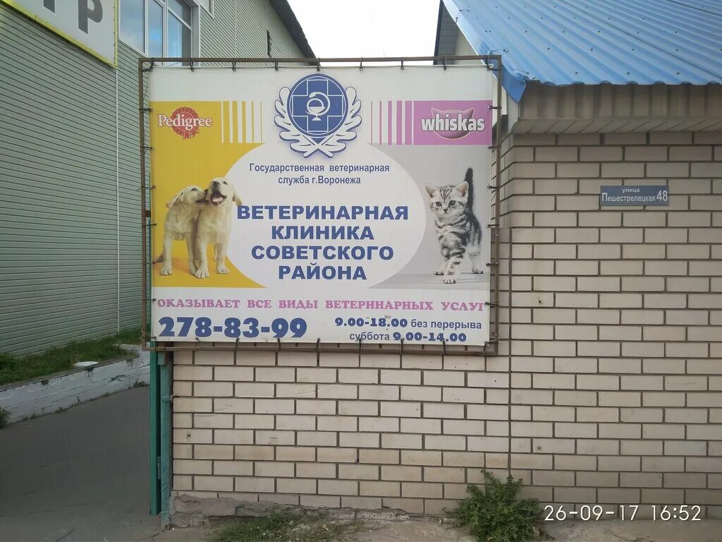 ветклиника воронеж работа