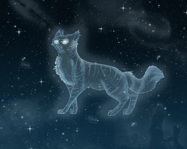 Коты воители звёздные предки. Коты воители коты звёздного племени. Хроники стаи звёздное племя. Звездное племя. Созвездие кошки лаланда.