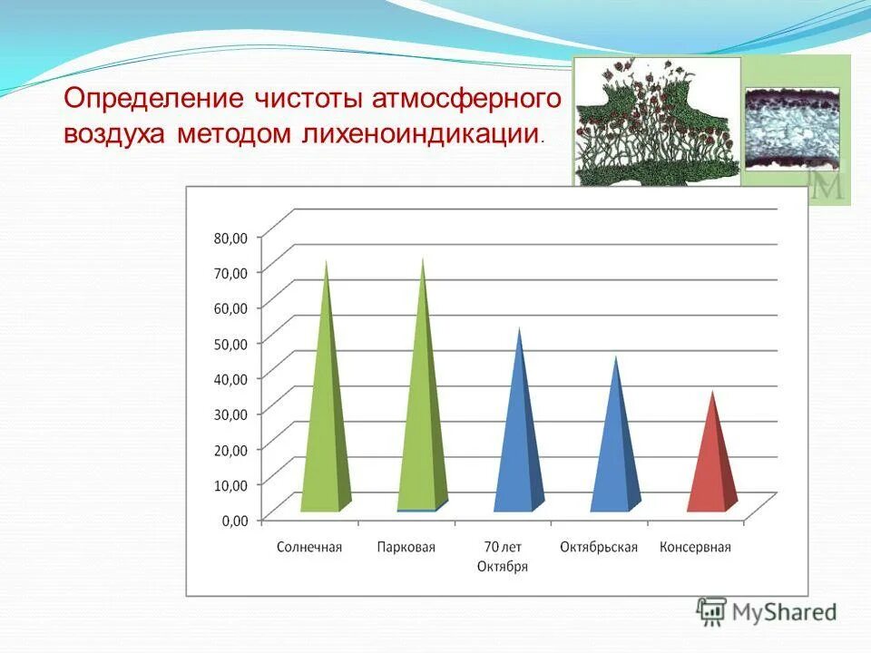 Определить чистоту воздуха. Гигиеническая оценка чистоты воздуха. Методы лихеноиндикации. Определение чистоты воздуха. Оценка загрязненности воздуха с помощью лишайников.