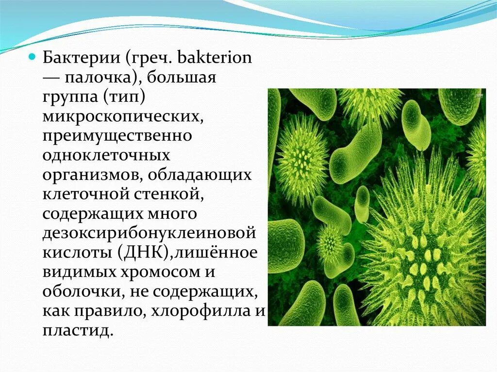 Бактерии микробиология. Бактерии — микроскопические одноклеточные организмы,. Микроорганизмы микробиология презентация. Микроорганизмы картинки для презентации. Название группы организмов бактерии