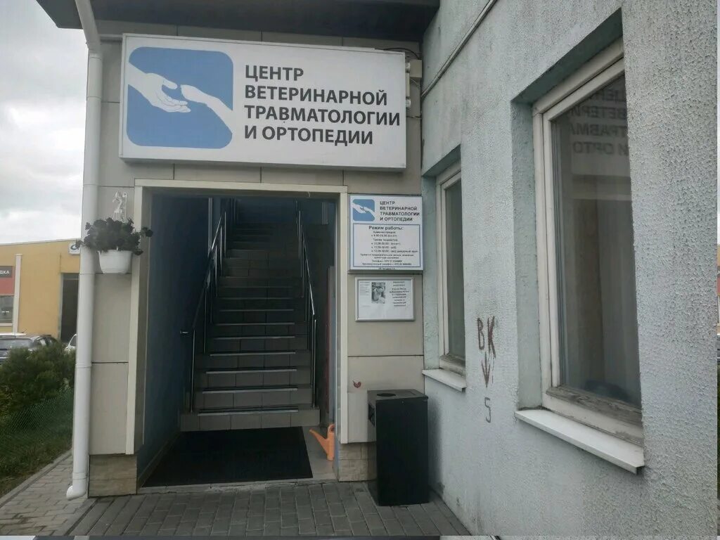 Центр травматологии и ортопедии в минске. Центр ветеринарной травматологии и ортопедии монтажников 9. ветклиника на белорусской. ветцентр минск. ветклиника марусино травматология.