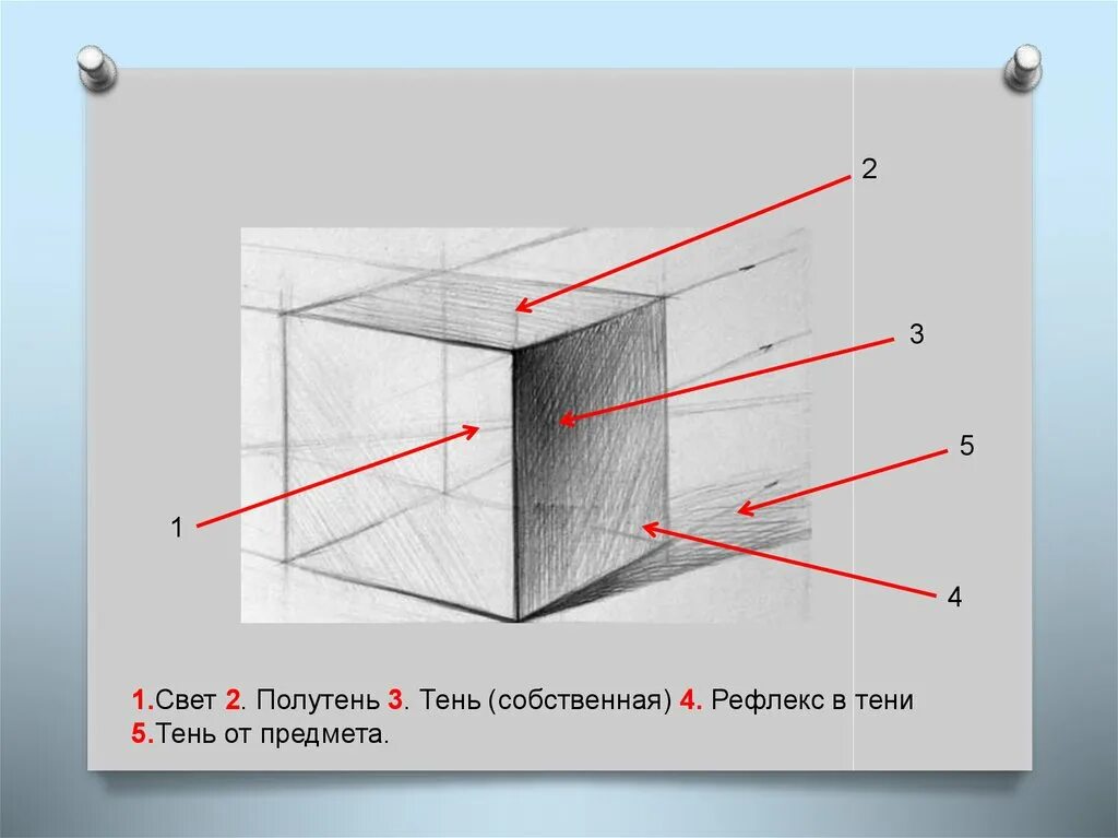 Свет и тень читать. Свет полутень тень рефлекс куб. Свет тень полутень рефлекс блик в рисунке куб. Свет полутон Собственная тень. Свет тень блик рефлекс на Кубе.