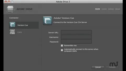Adobe version