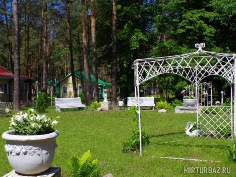 Домашово сосновый. Домашово сосновый. Сосновый бор домашово. Домашово база отдыха сосновый бор. Сосновый бор турбаза в брянске.