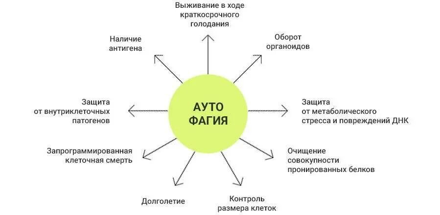 Как пишется голод