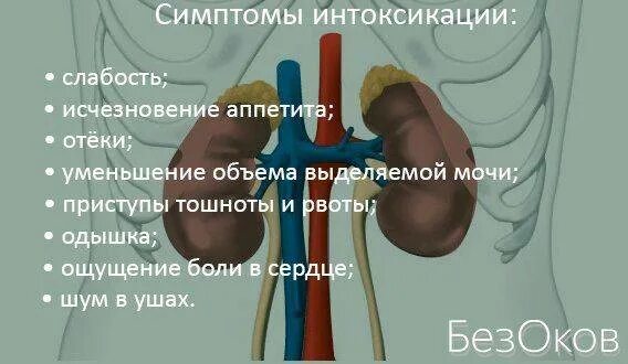 Каловая интоксикация симптомы. Интоксикация почек симптомы. каловая интоксикация у ребенка.