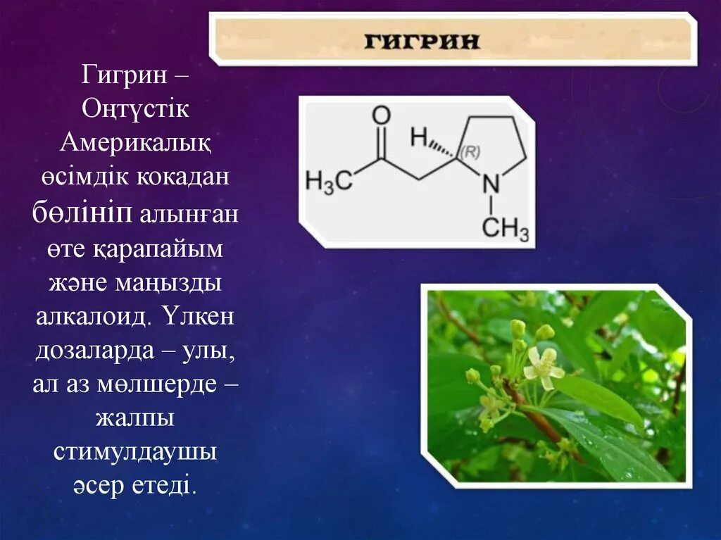 Алкалоид в чайных листьях. Гигрин алкалоид. Гигрин формула. Алкалоиды формула. Гигрин химическая формула.