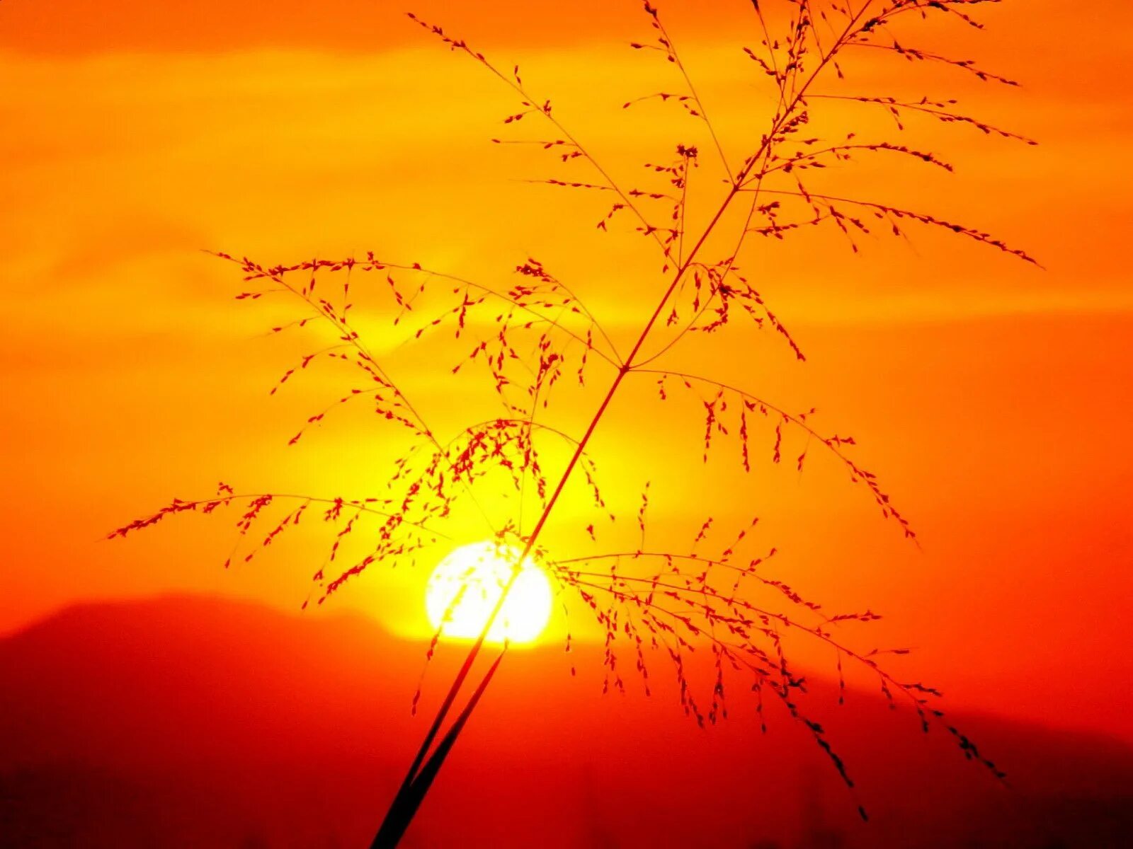 Яркий лучик солнца. Рассвет солнца. Закат солнца. Природа закат. Осень солнце.