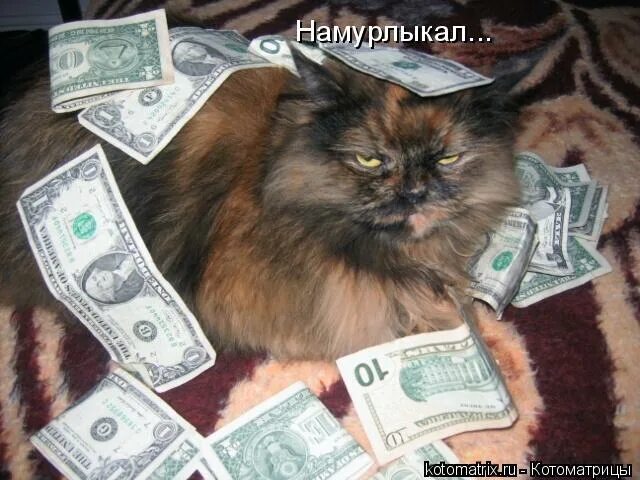 Меняю деньги на бабла песня. Гача лайф друзей не меняют на бабло. Друзей не меняют на бабло. Артур пирожков деньги. Текст песни больше дела меньше слов.